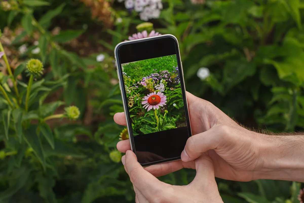 shutterstock_2032296503 Mit diesen Apps können Sie Pflanzen und Tiere bestimmen