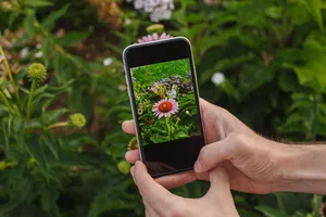 Apps erlauben schnelle und meist zuverlässige Bestimmung von Pflanzen oder Tieren anhand von Fotos.