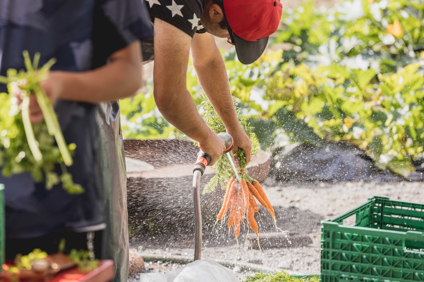 Weg zurück ins Berufsleben: Arbeitssuchende beim Urban Farming auf der Weberwiese