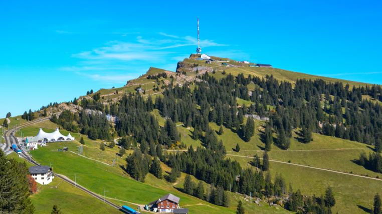 rigi-petition.jpg