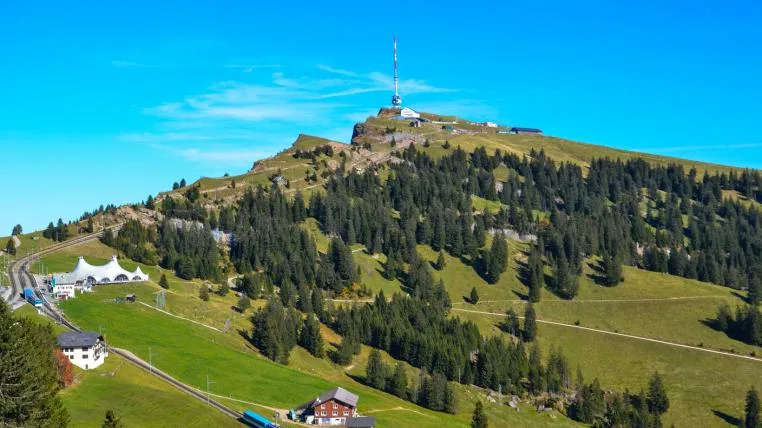39de37ba688cdc26b20366a22179b7cbf691093e rigi-petition.jpg