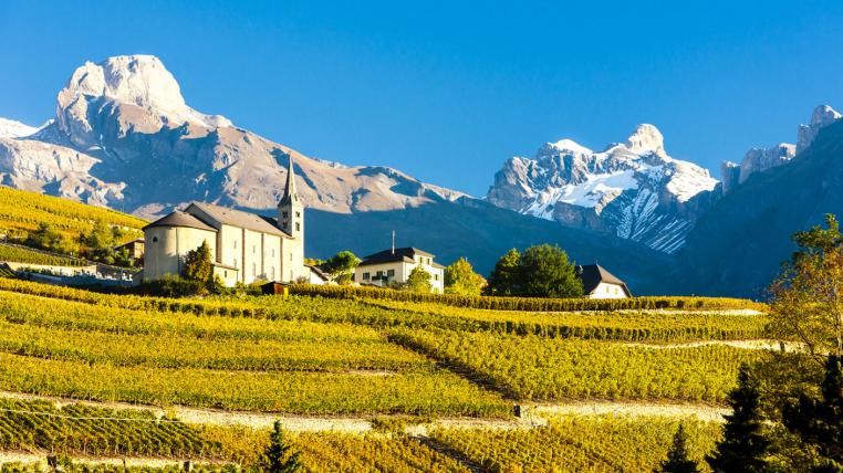 Weinberg bei Sion