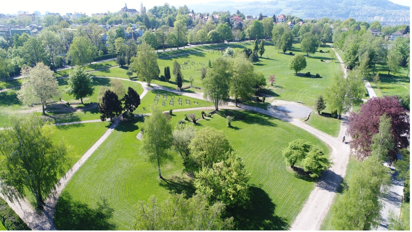 Spital statt Springpferde?