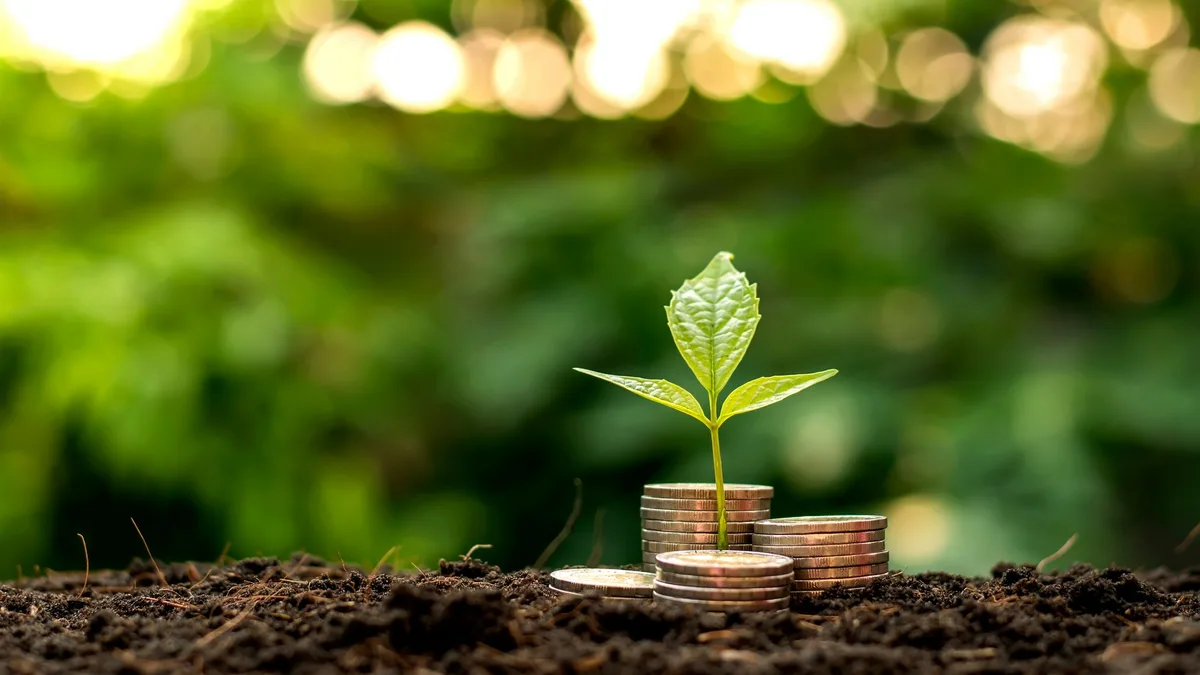 shutterstock_1930836206 Wie wird Geld zum Umweltschützer?