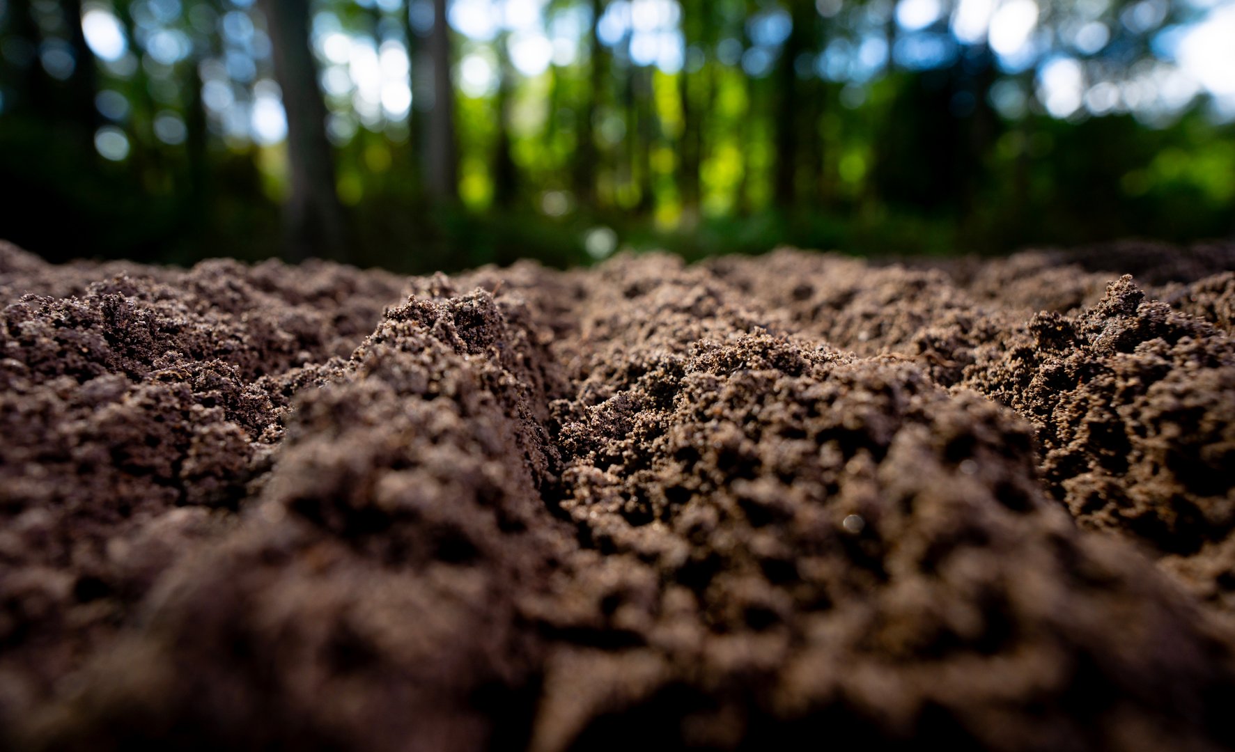 Wie nachhaltig sind CO₂-Zertifikate für Humus?