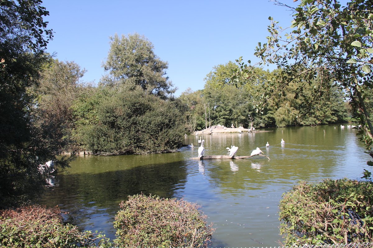 Die 8 besten Zoos in Deutschland und Frankreich für einen Tagesausflug