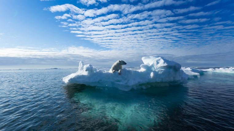 Klimawandel