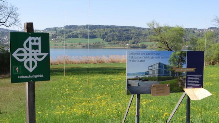 Greifensee2