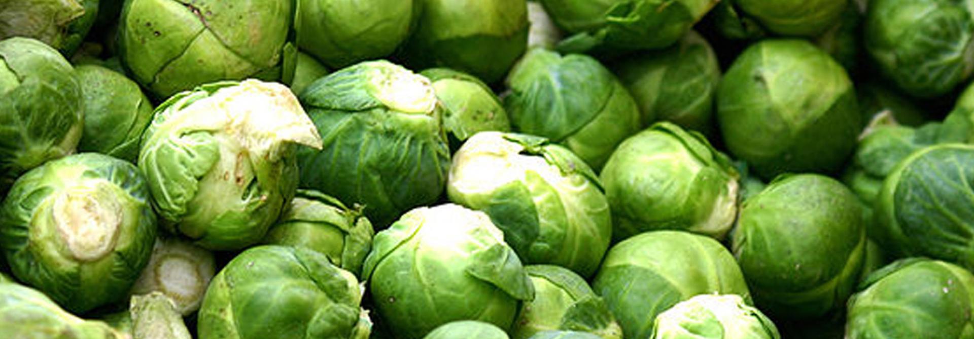 rosenkohl.jpg