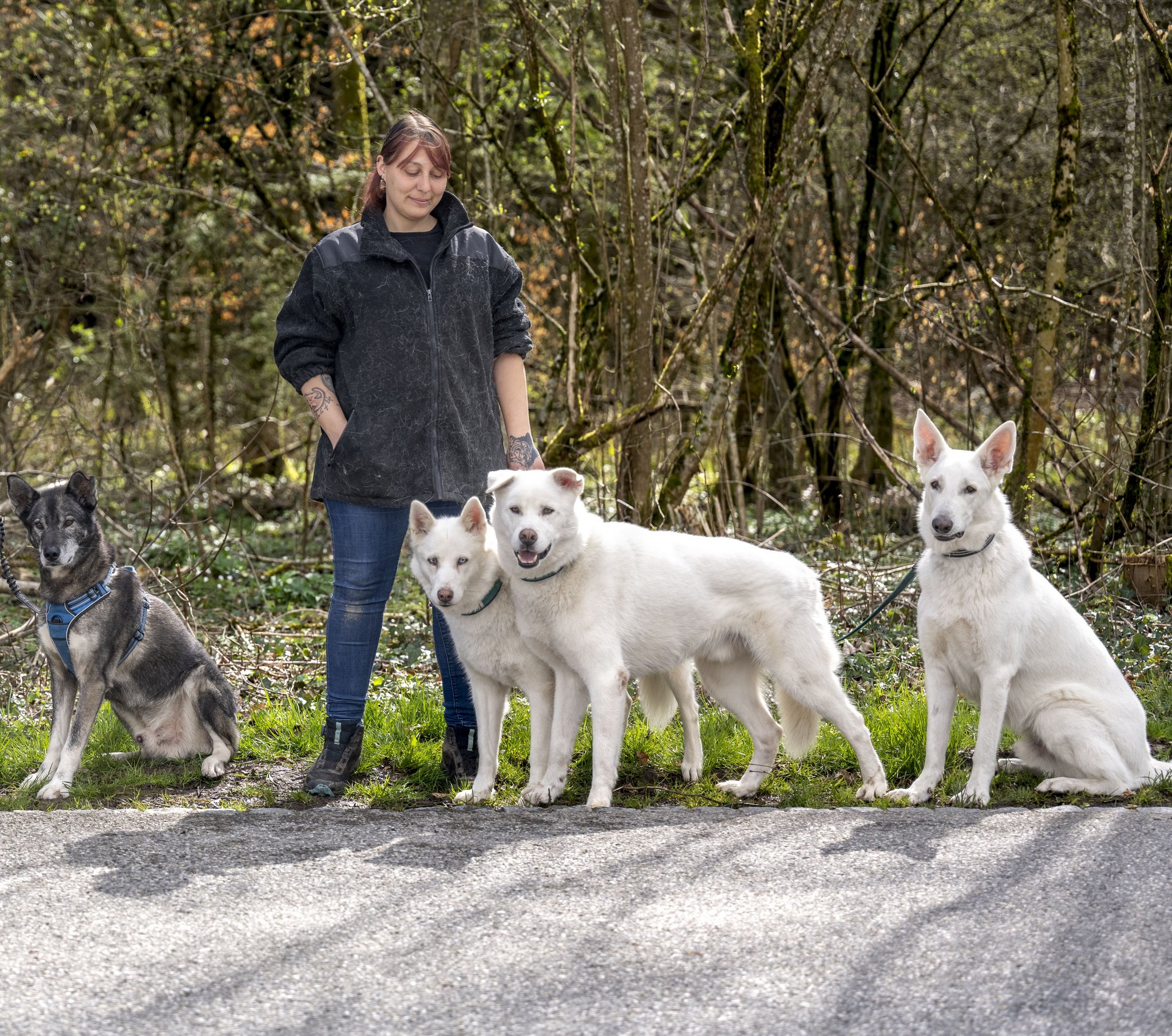 Wotans Tierhilfe in Aarwangen: Warum sich der Tierschutzverein auf schwer vermittelbare Hunde spezialisiert hat
