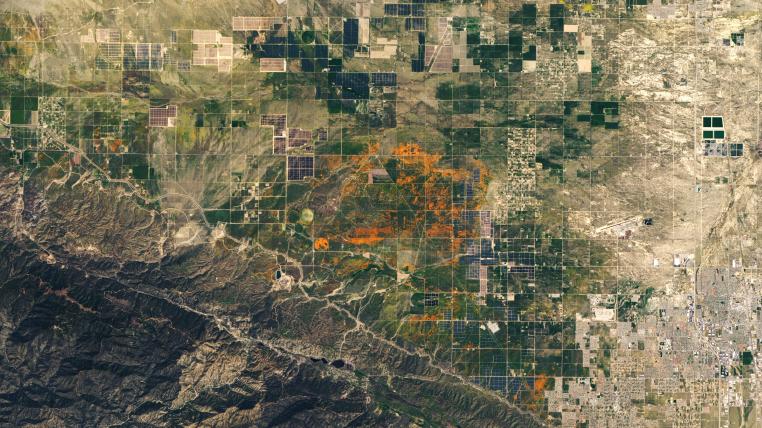Satellitenaufnahme von Blütenmeer in Kalifornien