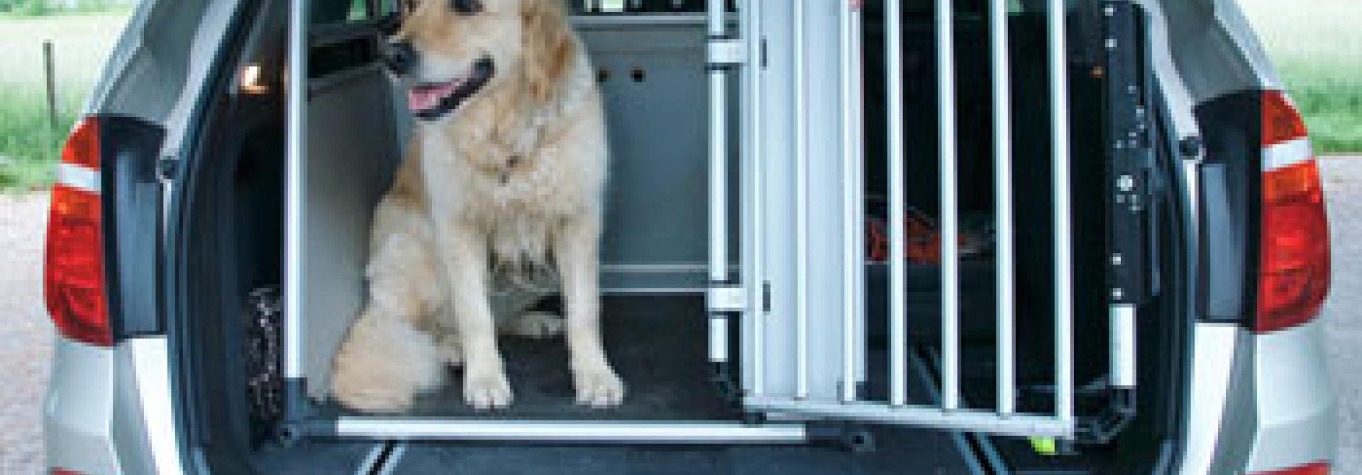 hundebox.jpg