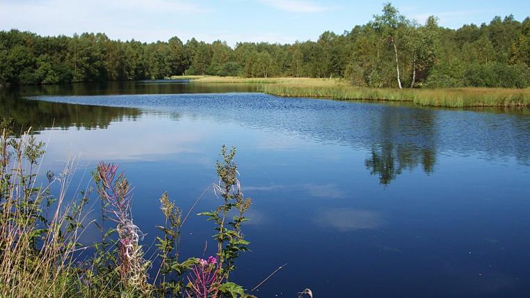 Torfmoor