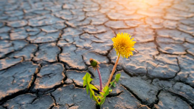 Klimawandel