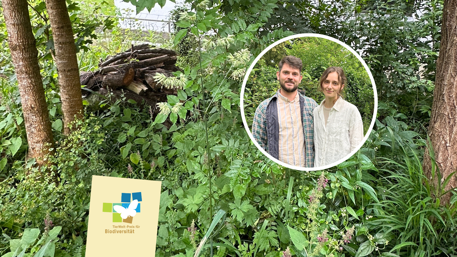 Michael Koller und Lisa Senn: Paradies für Nashornkäfer