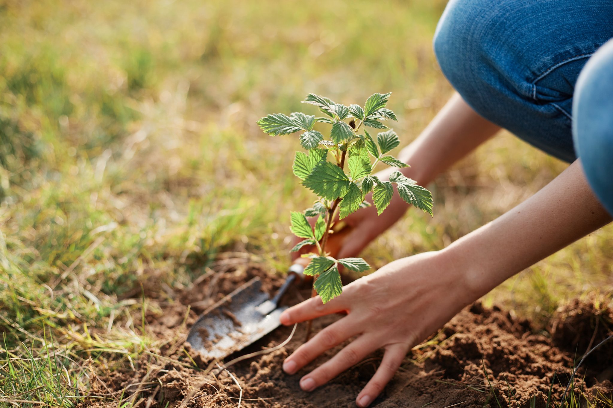 Gartenarbeit im Frühling: Diese Aufgaben sollten Sie jetzt erledigen