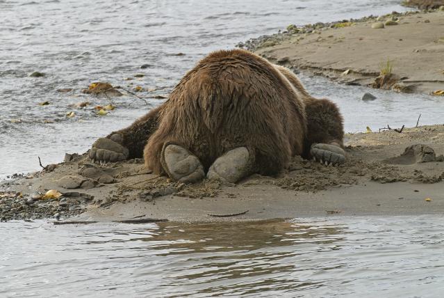 deepsleep.jpg