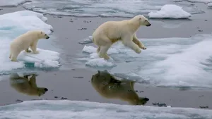Aus humanitären, wirtschaftlichen und Umweltschutz-Gründen: Eine Globale Initiative ruft zu Investitionen in Klimaschutz auf.