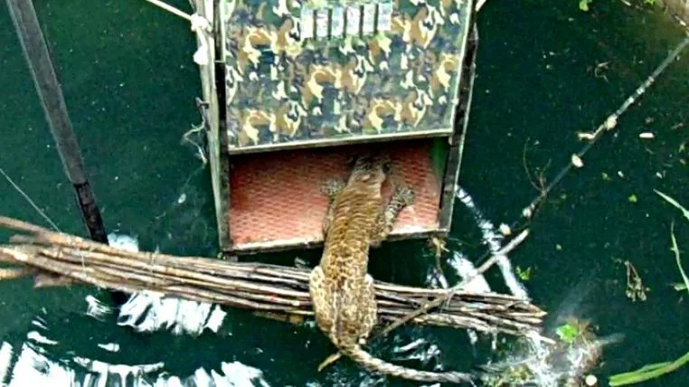 7fde42a86a23c0f34c15bace3d74f9ade3e5bb85 Leopardenrettung