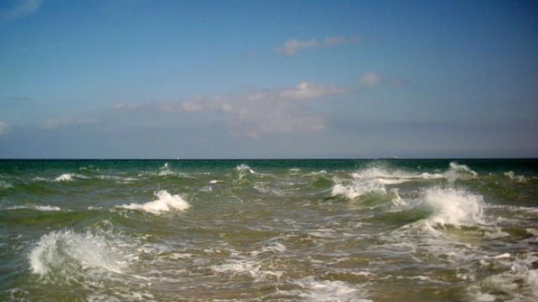 Nordsee-Ostsee-Klopilz877ausWernigerode-bysa_s.jpg