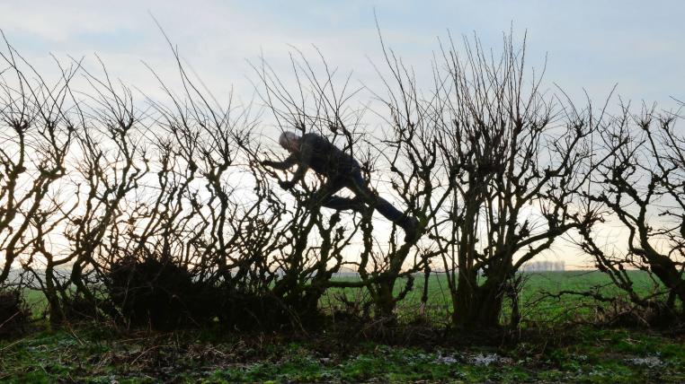 Andy Goldsworthy Leaning in the Wind