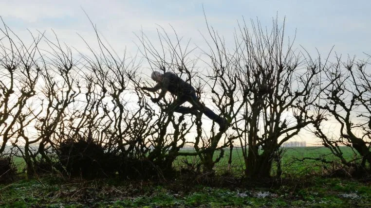 fb5219e9cafca531c8463f9c3889614e72970252 Andy Goldsworthy Leaning in the Wind