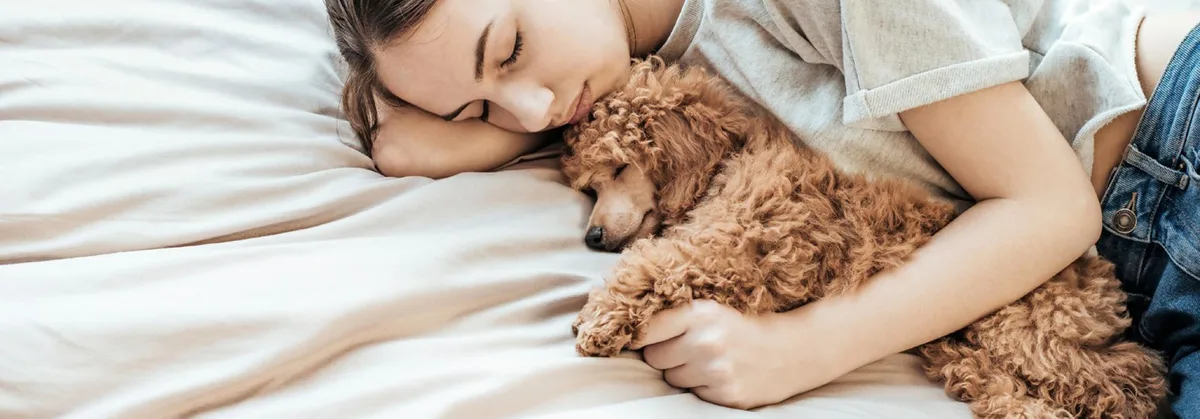 024779e8f59b6687dce218ae9a08a8460f766f4d kuscheltierdrama-kuscheln-gefährlich.jpg
