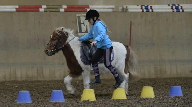 396a6a62caf6599f2c433ed38537c59648789685 ponygames.jpg