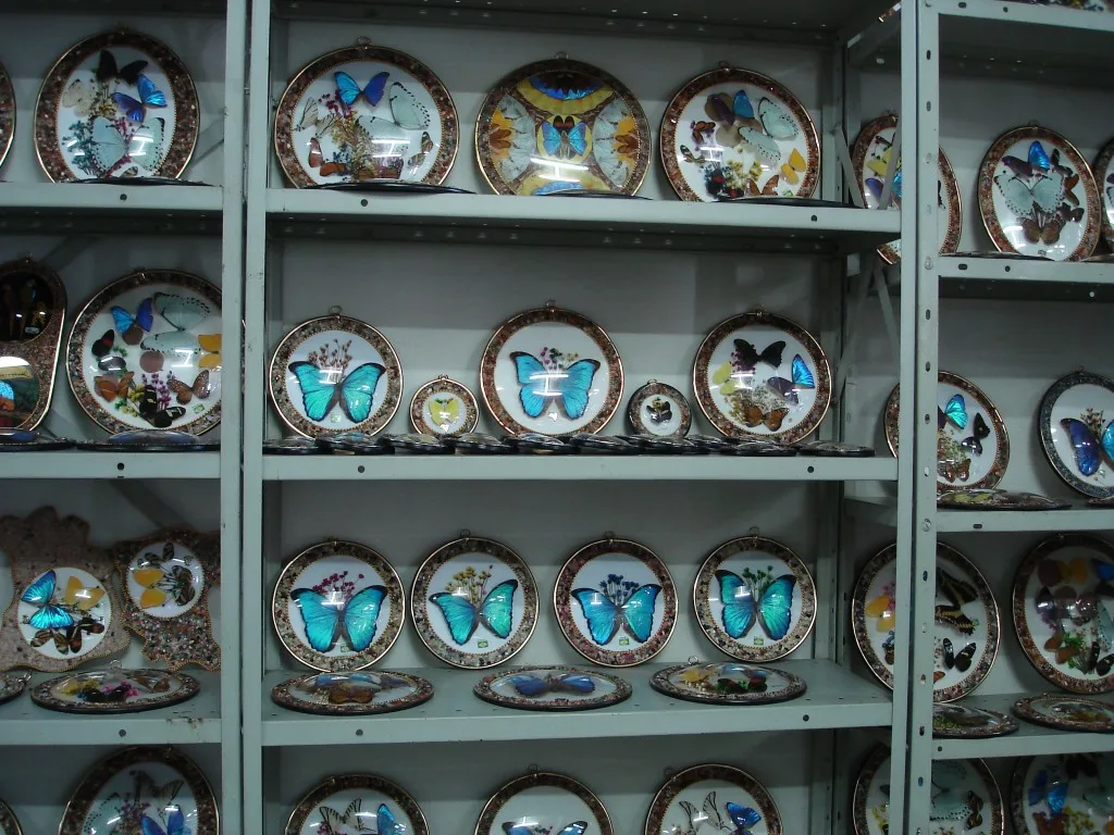 Butterflies-c-Anton_Vorauer_WWF Augen auf beim Souvenir-Kauf