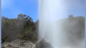 Der Lady-Know-Geysir in der Nähe der Rotorua-Sees, bei dem am Morgen (Ortszeit) eine 30 Meter hohe Geysir-Eruption die Anwohner aus dem Schlaf weckte. Die Gegend ist für seismische Aktivitäten bekannt.
