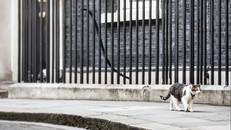 Kater Larry vor der Downing Street 10