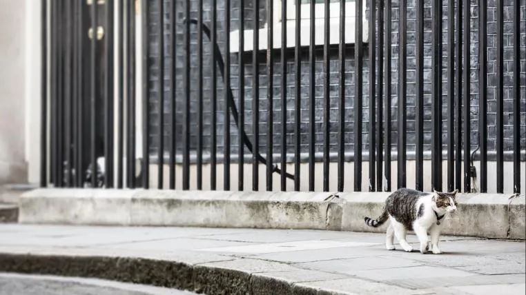 4f794d7fb026701d2c36e6a89a4097c820e7fee2 Kater Larry vor der Downing Street 10