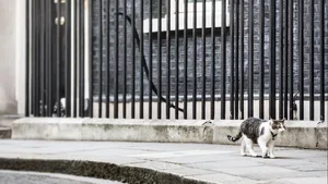 Kater Larry im April 2017 vor der Downing Street 10.