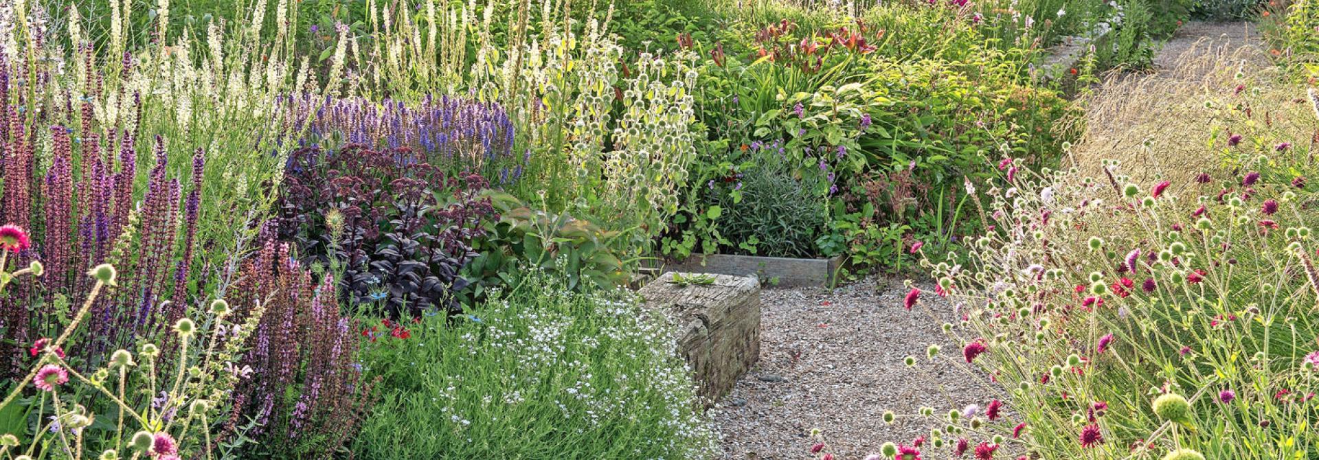 blackbox-gardening.jpg