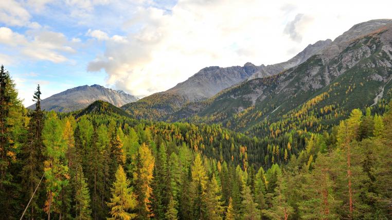 Schweizerischer Nationalpark