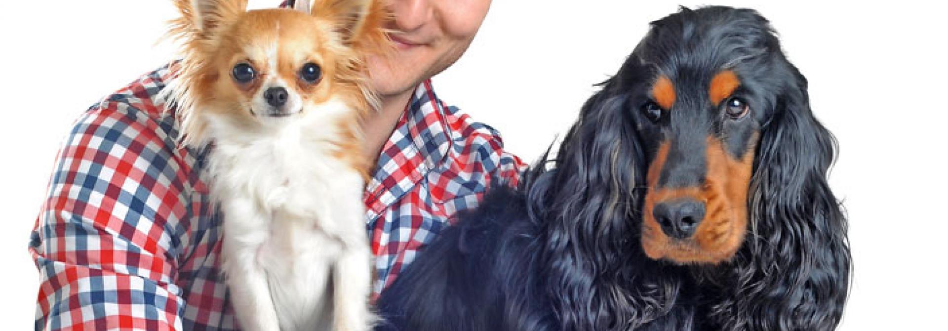 zwei-hunde.jpg