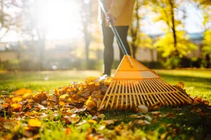 Damit der Rasen wieder ordentlich wachsen kann, helfen ein paar Arbeiten im Frühling.