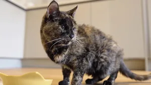 Flossie ist stolze 30 Jahre alt: Sie wurde am 29. Dezember 1995 geboren.