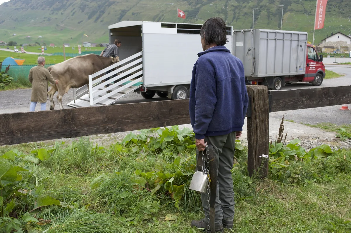 Franca_Andermatt_2 Schafe auf der Flucht und andere Abenteuer