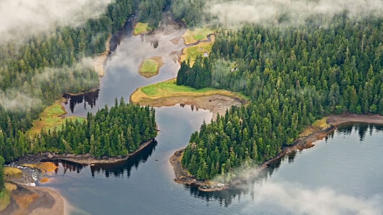 tongass-national-forest-trump-abholzung.jpg