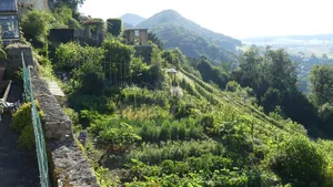 Zur vielfältigen barocken Gartenanlage im Schloss Lostorf SOgehört auch eine Gärtnerei mit Gemüsegarten, in dem einige ProSpecieRara-Sorten ein neues Zuhause gefunden haben. Am Wochenende können sie besichtigt werden.