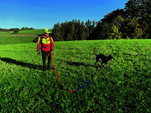 Die Suche nach dem Reh führt den Wildhüter aufs freie Feld.