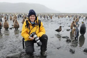 Reiseziel Südgeorgien: Auf einer ihrer Expeditionen entdeckte Sandra Walser eine Kolonie von Königspinguinen.