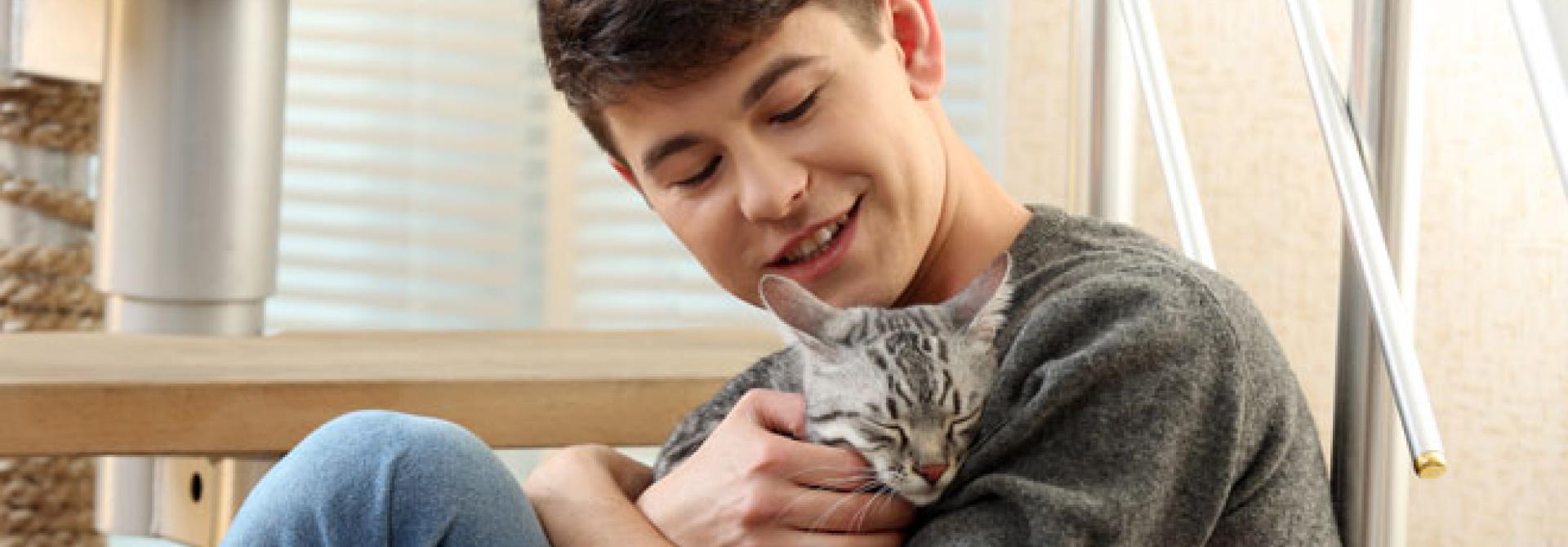 katze-passt.jpg
