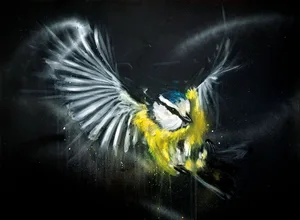 Die Blaumeise ist im Anflug.