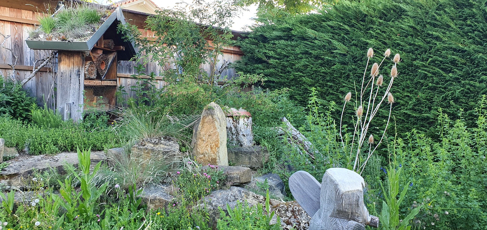 So sorgt man für Biodiversität im eigenen Garten