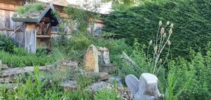 Von einem Garten mit einer hohen Biodiversität profitieren nicht nur die Insekten.