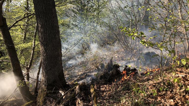 Waldbrand in Baselland