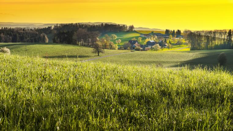 Landwirtschaft