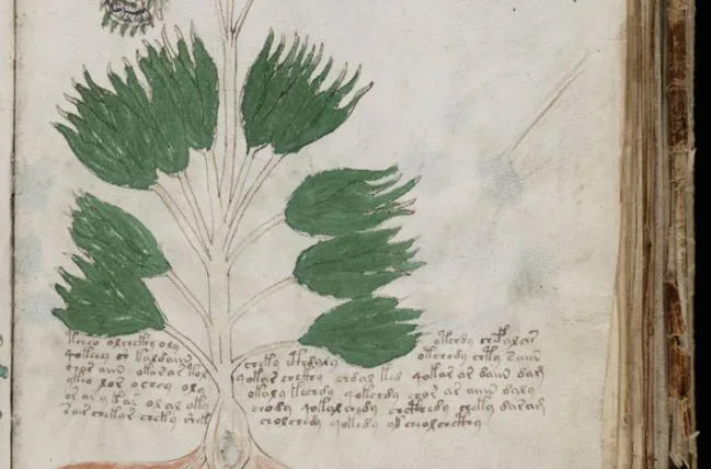 a18f8dd33ffd682ecc4ff87f049bf57c2a3b8aac 1_voynich.jpg